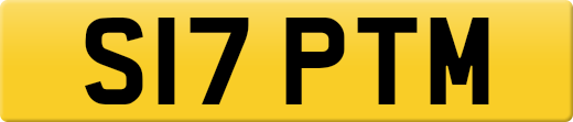 S17PTM