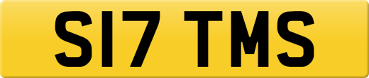 S17TMS