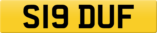 S19DUF