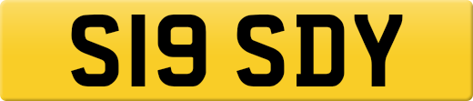 S19SDY