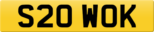 S20WOK