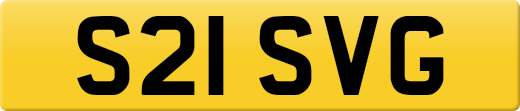 S21SVG