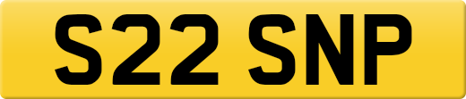S22SNP