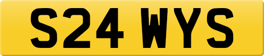 S24WYS