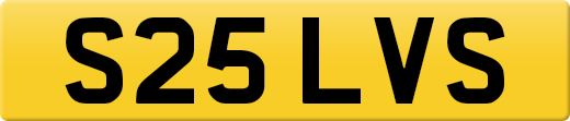 S25LVS