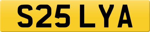 S25LYA