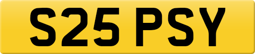 S25PSY