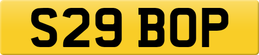 S29BOP