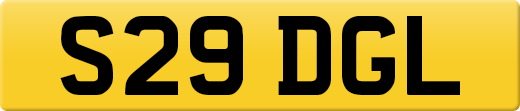 S29DGL