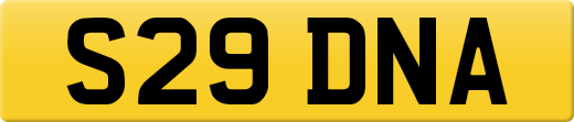 S29DNA