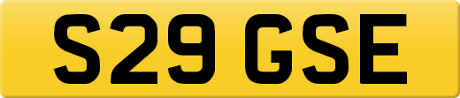 S29GSE