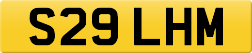 S29LHM