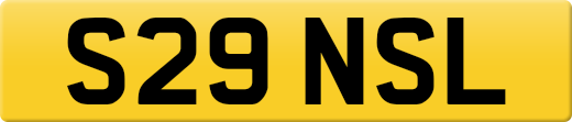 S29NSL