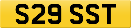 S29SST