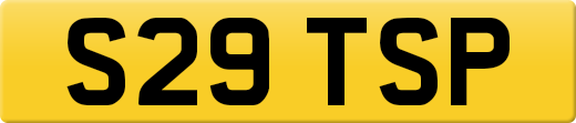 S29TSP
