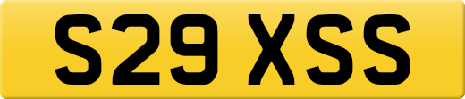 S29XSS
