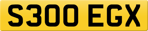 S300EGX