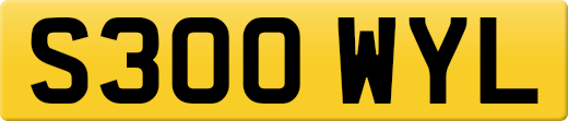 S300WYL
