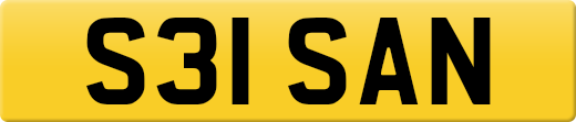 S31SAN