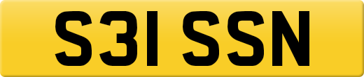 S31SSN