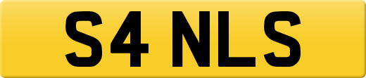 S4NLS