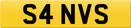 S4NVS