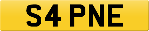 S4PNE
