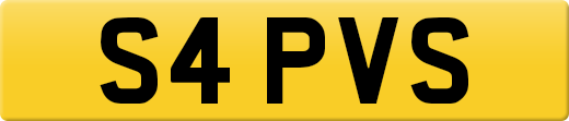 S4PVS