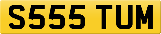 S555TUM