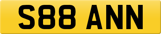 S88ANN
