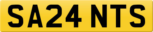 SA24NTS