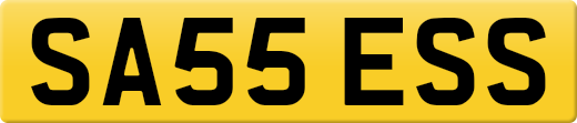 SA55ESS