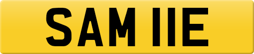SAM11E