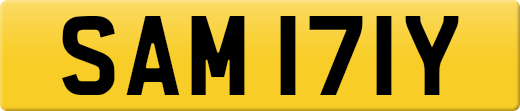 SAM171Y
