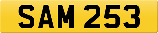 SAM253