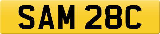 SAM28C