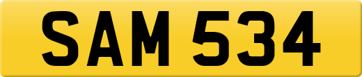 SAM534