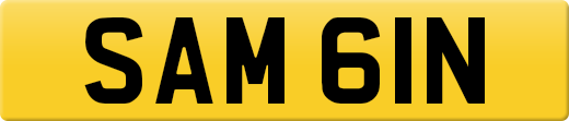 SAM61N