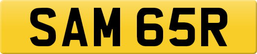 SAM65R