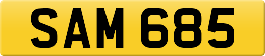 SAM685