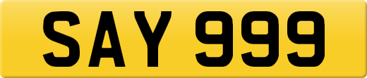 SAY999