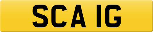 SCA1G