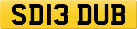SD13DUB