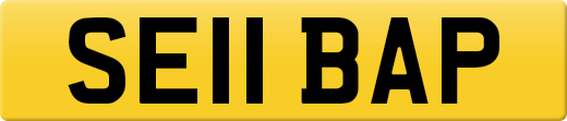SE11BAP
