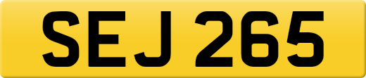 SEJ265