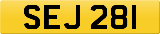 SEJ281