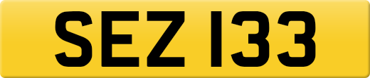 SEZ133