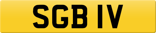 SGB1V