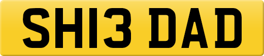 SH13DAD