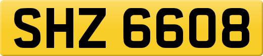 SHZ6608